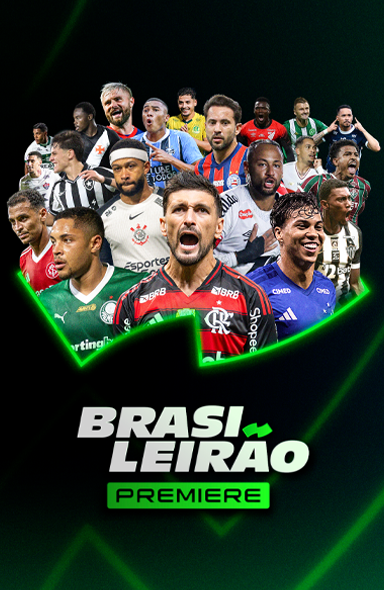 384x590-Brasileirão-2