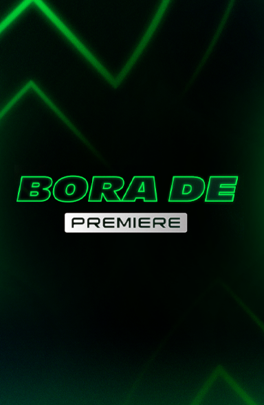 384x590-Brasileirão-3