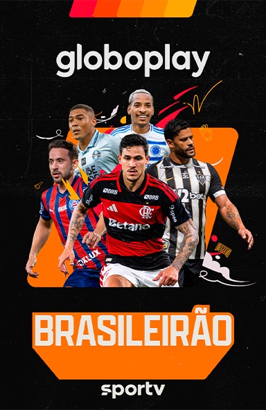 BANNER BRASILEIRAO-384X590
